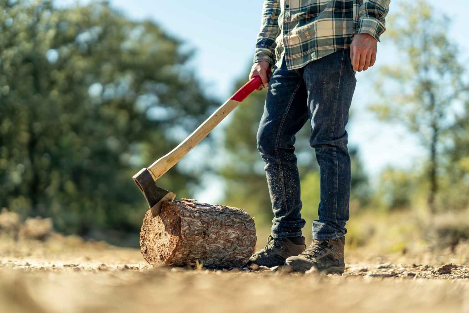 Trusted Sugar Hill, GA Tree Service Experts